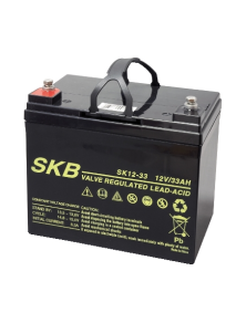 LEAD BATTERY CHARGERS SKB SK12 - 33 (6FM33)