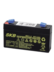 LEAD BATTERY CHARGERS SKB SK6 - 1,3
