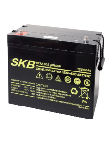 LEAD BATTERY CHARGERS SKB SK12 - 80S 6FM80S