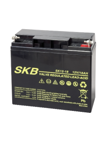 LEAD BATTERY CHARGERS SKB SK12 - 18