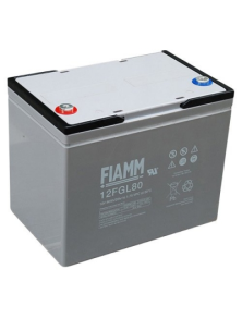 LEAD BATTERY CHARGERS FIAMM 12FGL80 12v 80 amp